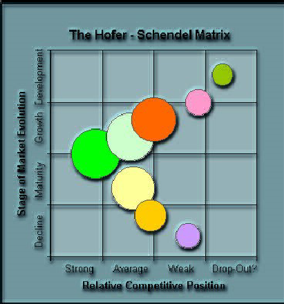 Method of Analysis and Diagnosing Corporate Capabilities: Functional ...